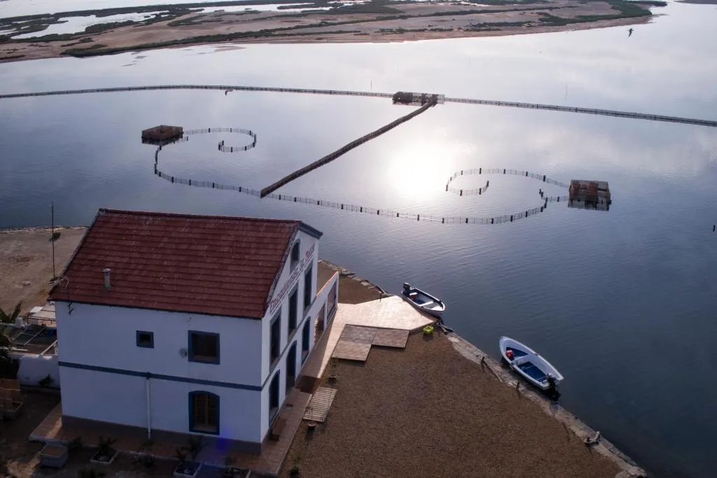 Aerial view of the encanizadas fish traps and the shallow Mar Menor lagoon with boats